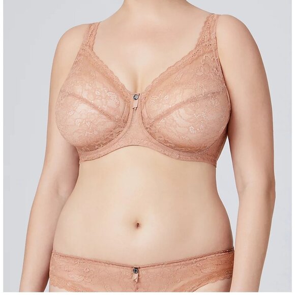 Set of 3! Panties 2XL Briefs Bramour Nolita 2XL FITS 33-34" Waist Low Cut Nude - Picture 10 of 16